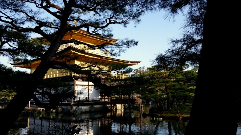 世界一有名なお寺、京都の『金閣寺』で寺めぐり観光！！